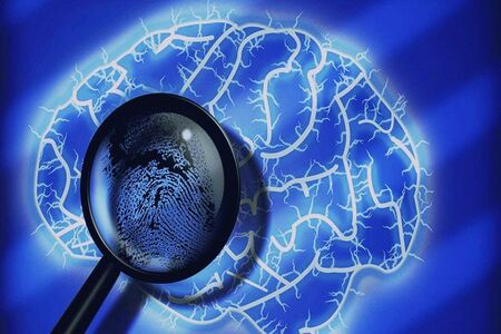 Criminologia e Sociologia da Violência