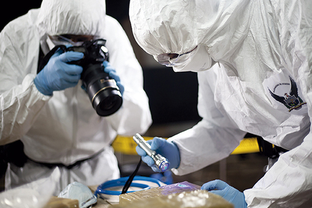 Análise Criminal e Criminalística